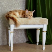 Банкетка Васко В 97Н (52х60х38) в классическом стиле, белый ясень, золото Банкетка Васко В 97Н (52х60х38) в классическом стиле, белый ясень, золото