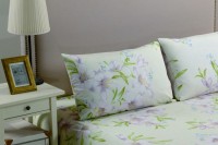 Наволочки сатин печатные NCT-233 50x70-2 шт.  арт. NCT-233